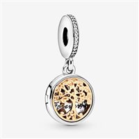 Charm Pandora Donna in Argento 791988CZ